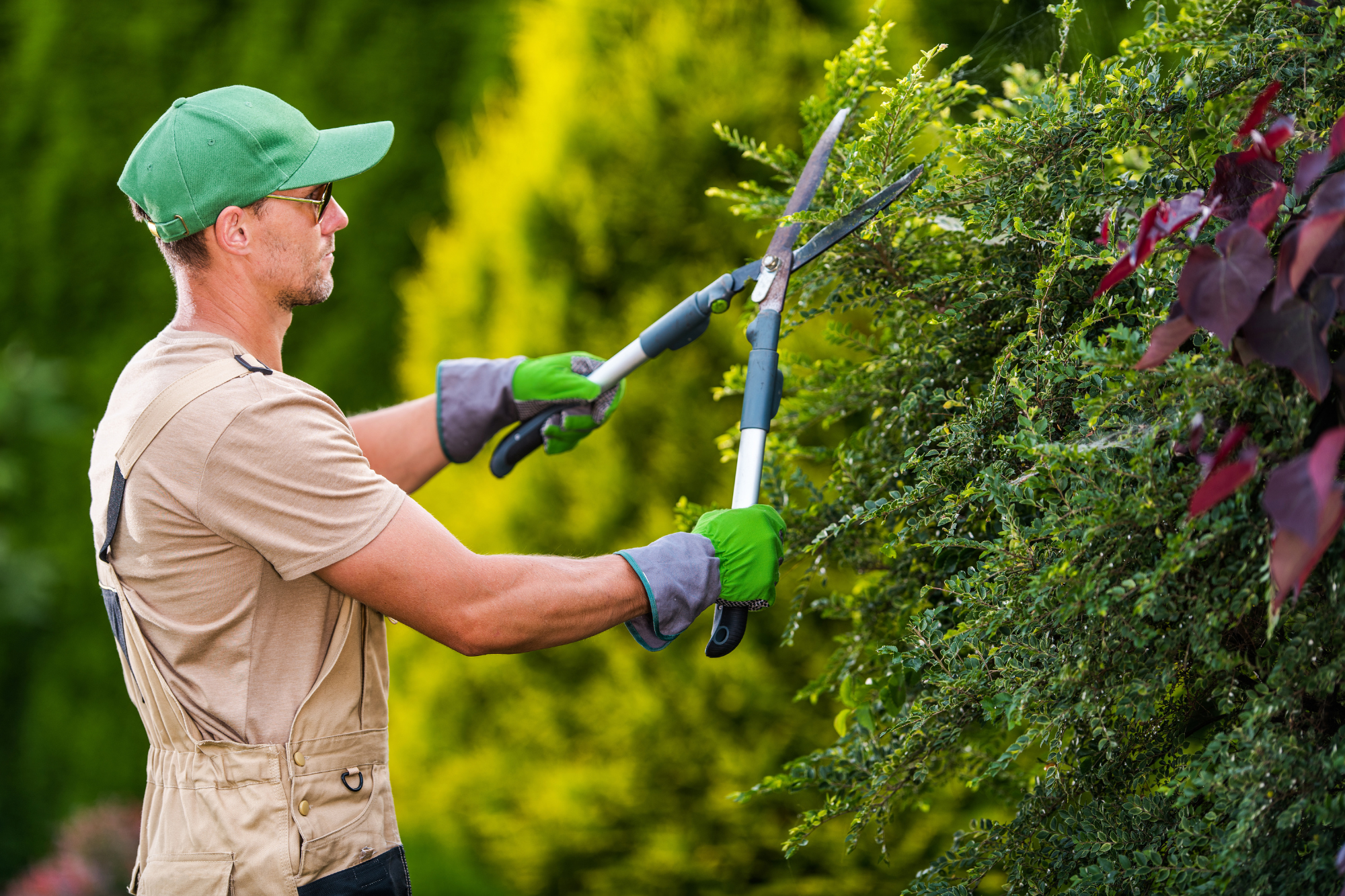 NDIS Gardening & Lawn Maintenance - Ezy Care